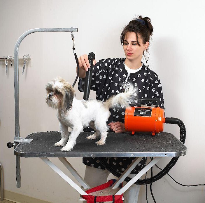 MetroVac Air Force Commander Two-Speed Pet Dryer: The Ultimate Grooming Tool for Your Pet